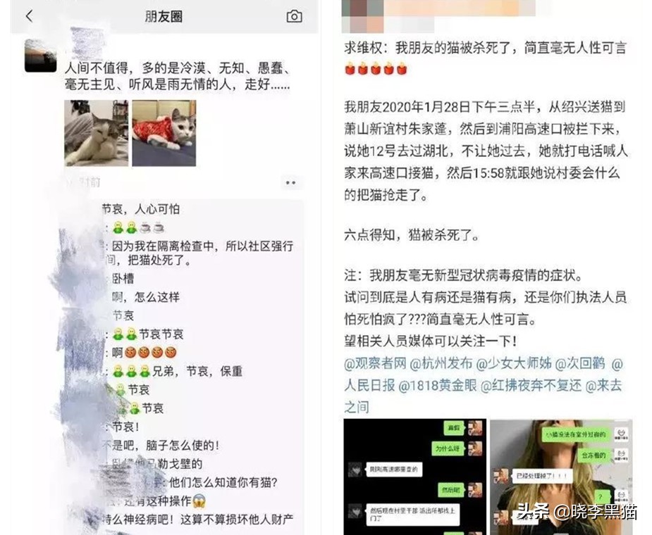 养猫家庭新冠对策全知道，别再听信谣言，也别再想当然了