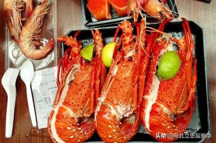 澳洲留学生活小常识汇总,澳洲留学生活基本常识赶紧get起来