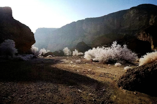 巴音布鲁克镇冬天的生活,巴音郭楞自治州和静县冬天