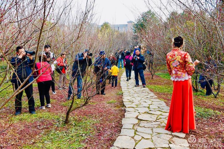 洛阳晚报作品,洛阳晚报2020年