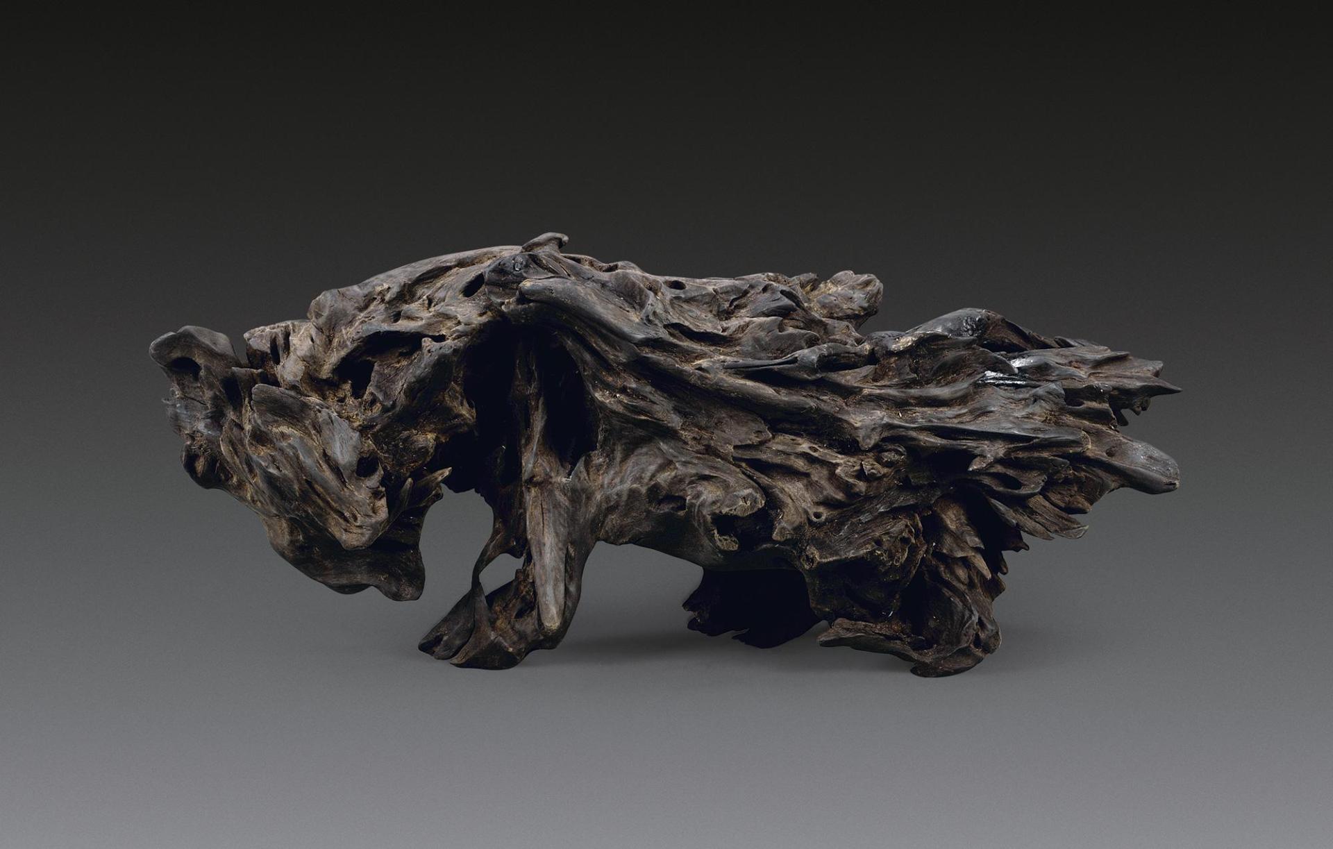 地下挖出千年阴沉木,中国出土最大的阴沉木