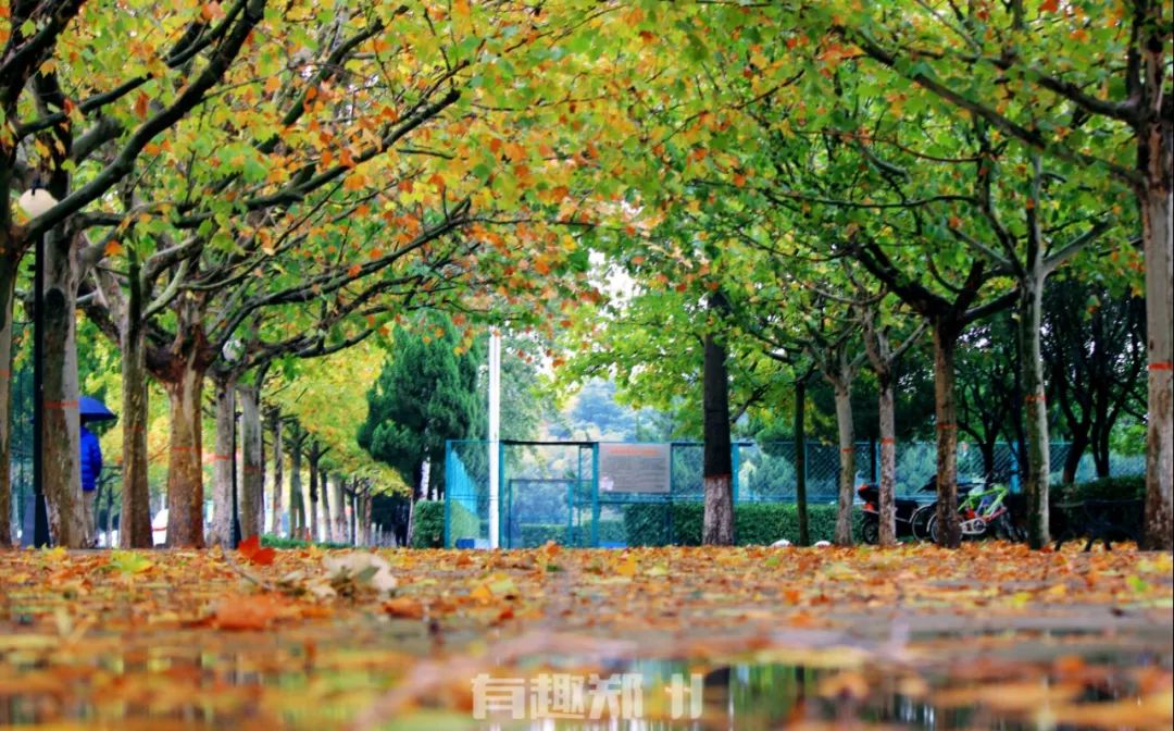 *达升**大学，每日要升旗、天天得扫地、公交全是挤……