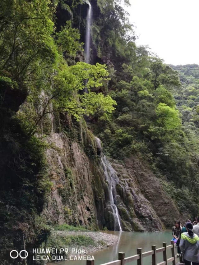 重庆黑山谷避暑适合吗,重庆避暑7天黑山谷