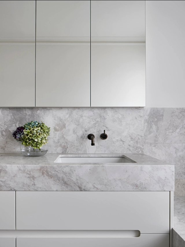 水槽台下盆一般哪种好,水槽选台下盆更好打理