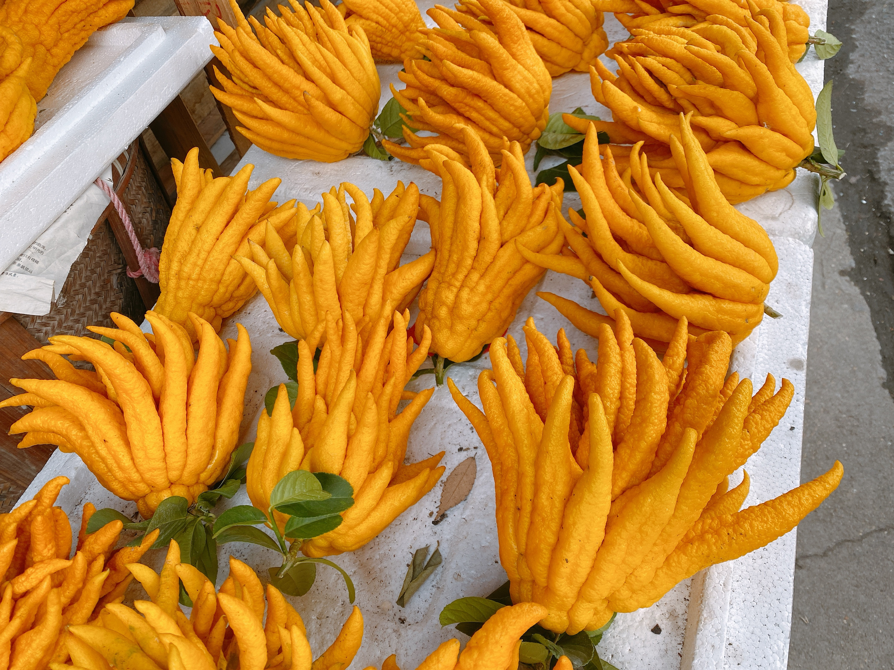 过年了,准备点金佛手,喜庆而且用处多,能泡茶做果干还能泡酒