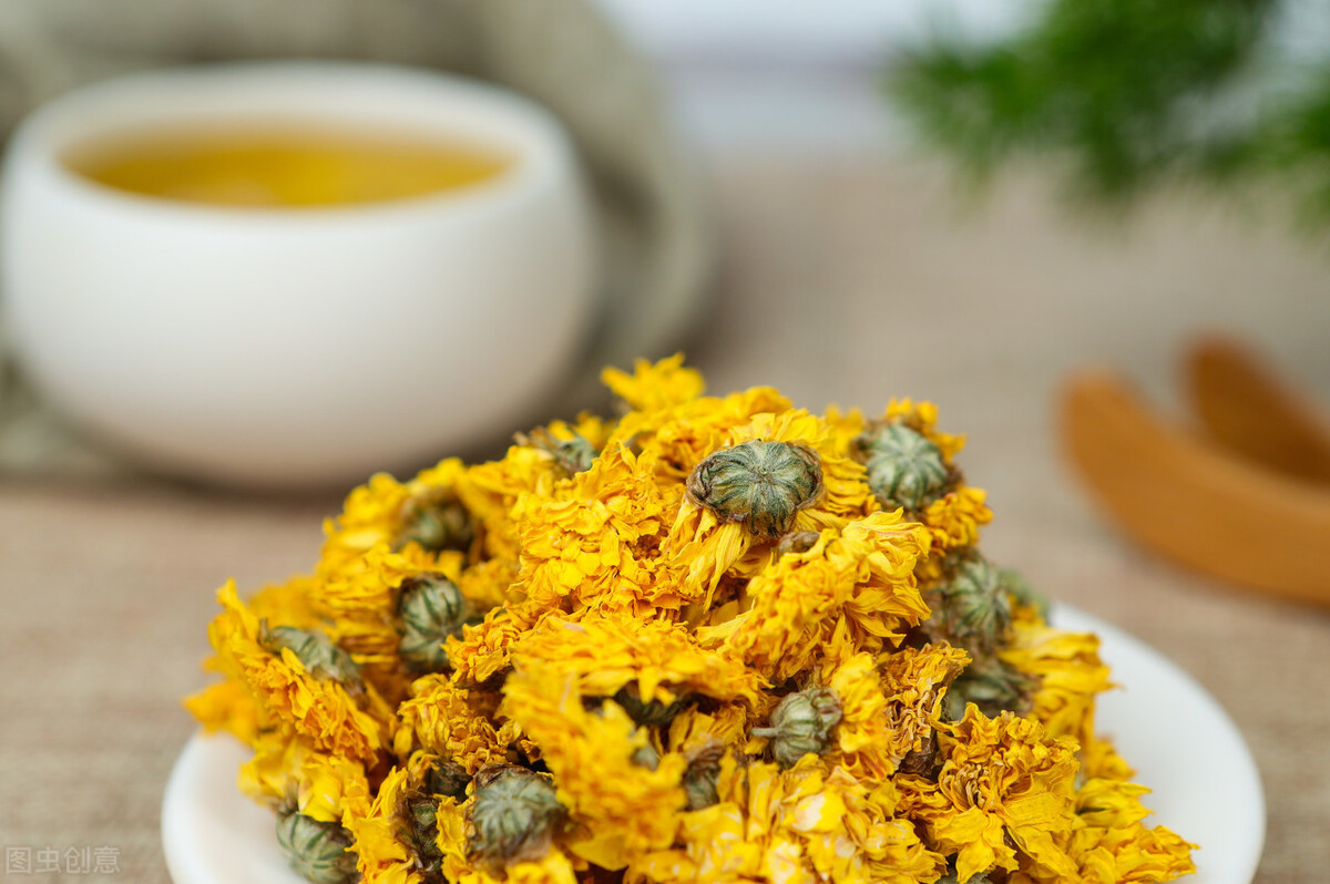 菊花有哪些虫害和危害,菊花有没有被硫磺熏过的鉴别方法