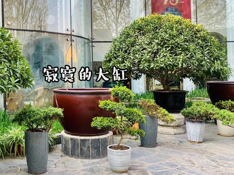 2019年掉缸事件,关于掉缸的事件