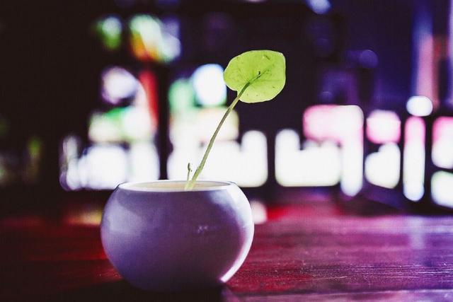 人到50岁了，要面对现实