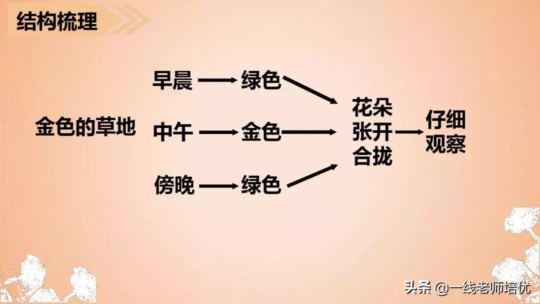 三年级语文金色的草地展现了什么,语文三年级上金色的草地课文讲解