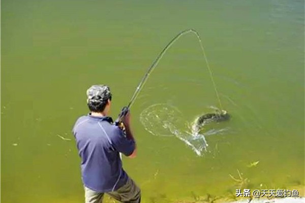 防挂底爆炸钩正确挂饵方法,爆炸钩正确挂饵防挂底方法