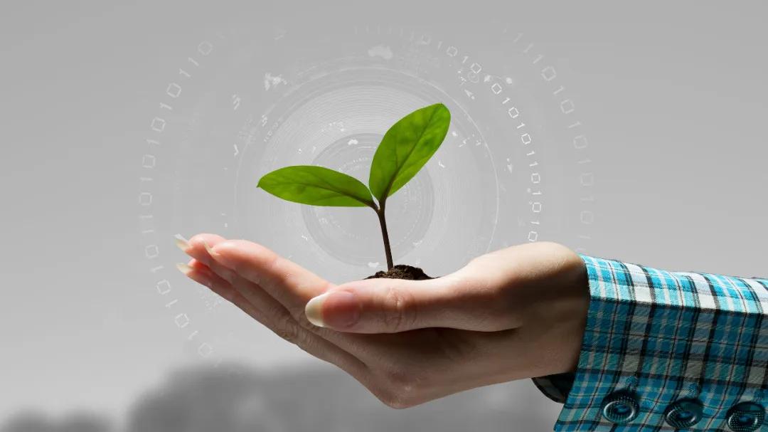 人肉搜索涉及到哪些违法行为,人肉搜索举报违法行为