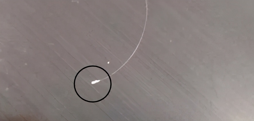 脱落的头发有白色颗粒是毛囊么,连毛囊一起脱落的头发图片