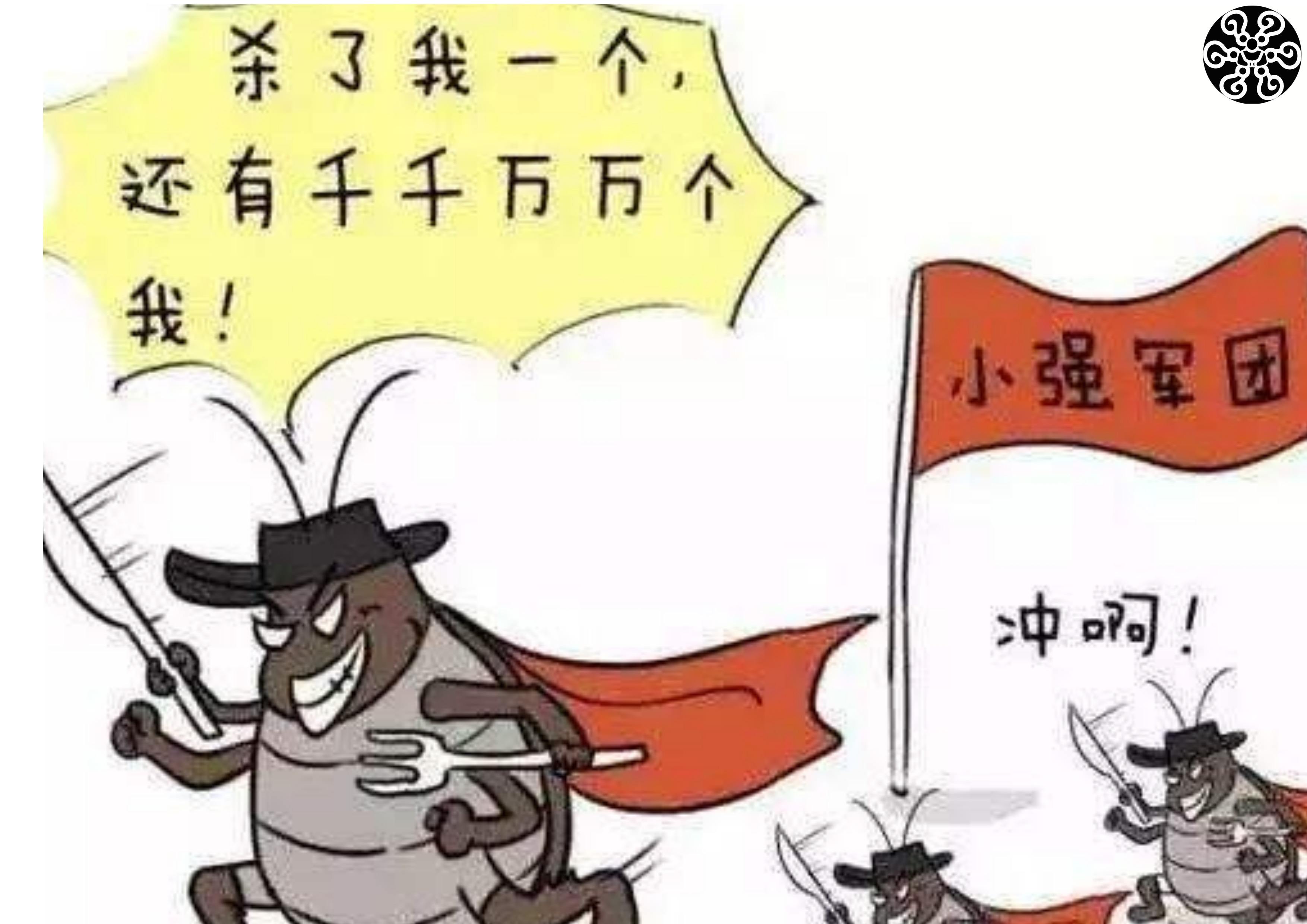 蟑螂全身携带致病菌，它爬过的食物还敢吃吗？这些灭蟑方法请记牢