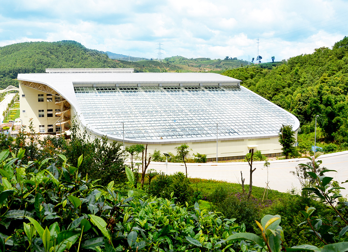 年轻人的第一款茶,年轻人的第1杯养生茶