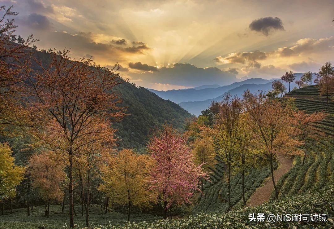 第八季20个NiSi醉美城市地标，晋级送NiSi快装板
