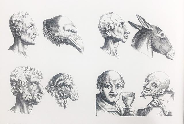 犯罪面相有哪些特征,面相和犯罪率的关系