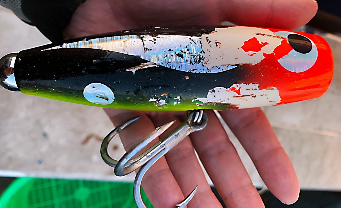 西沙群岛渔船海钓之旅,西沙群岛海钓游