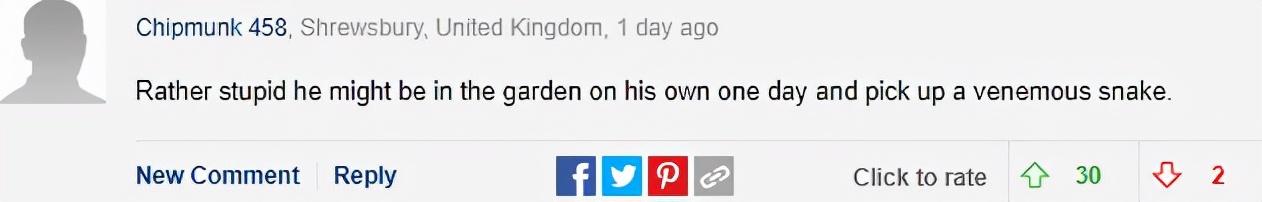 澳洲狂野早教:2岁娃单挑巨蟒,爸爸在一旁指点加油,这?