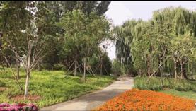 北京室内温泉游乐场,北京室内运动游乐场