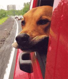 网优是干什么用的,网优有什么好处