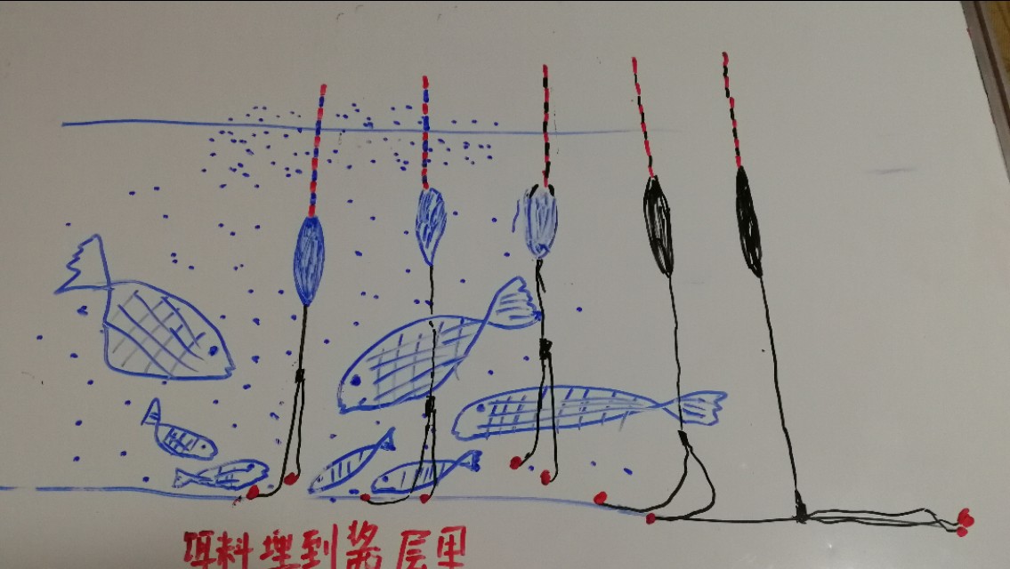 天气冷鱼口轻怎么调漂,新手钓友看完也能会的调漂技巧