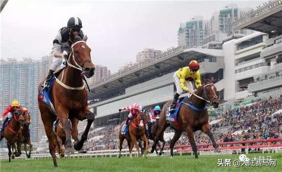 1秒赚你1个月工资,赛马骑师的年薪直接给我看哭了