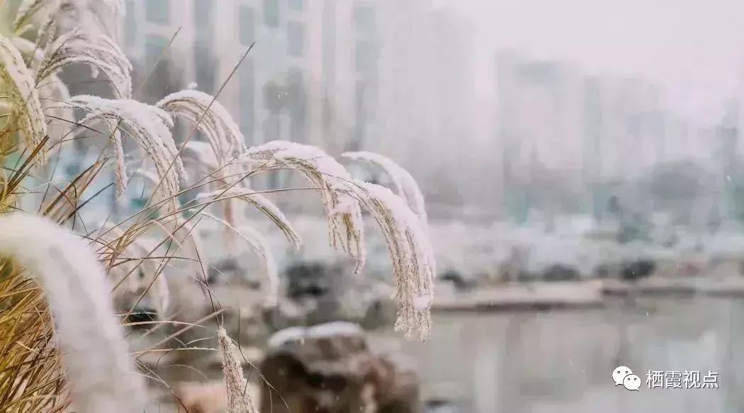 没时间解释了快上车粤语,没时间解释了快上车