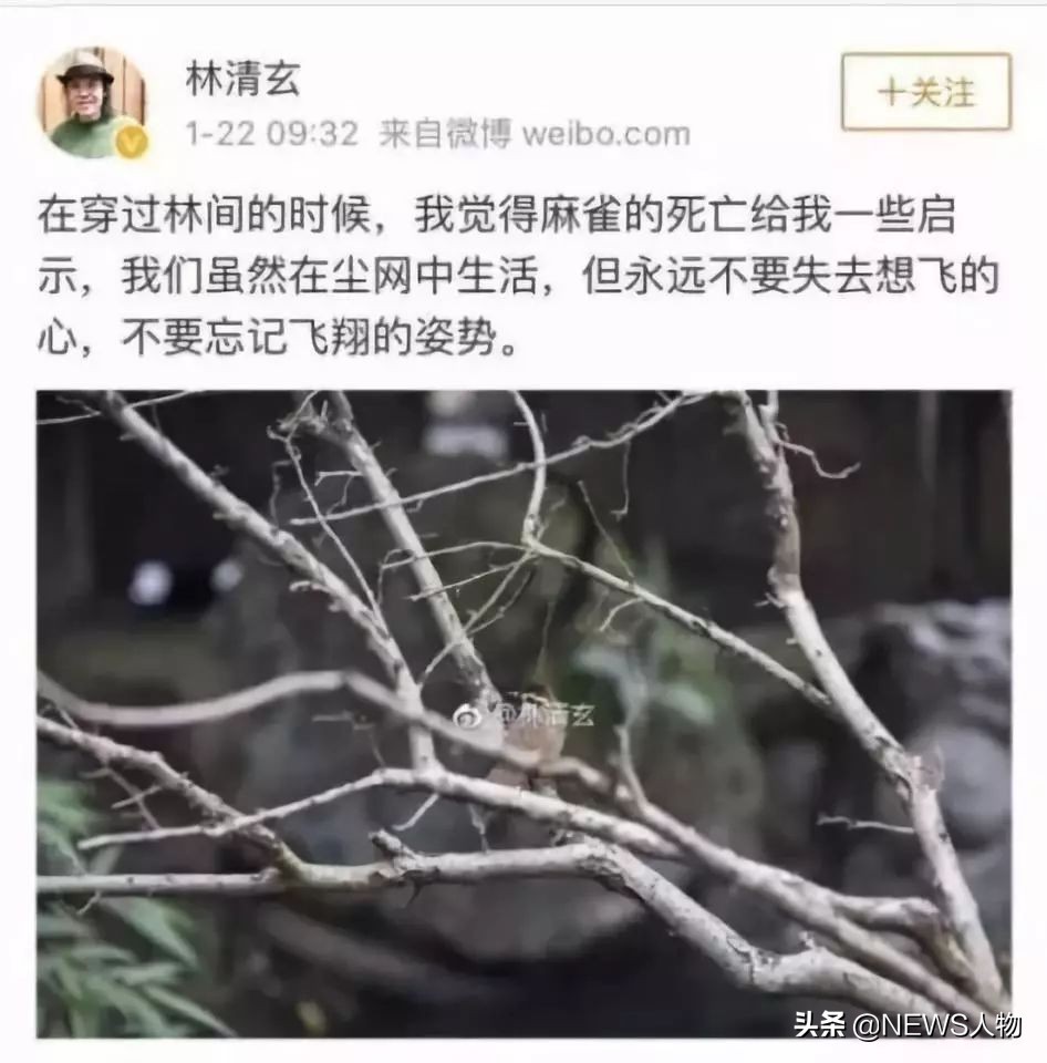 林清玄最有力量的是一颗柔软的心,林清玄谈纯净的心