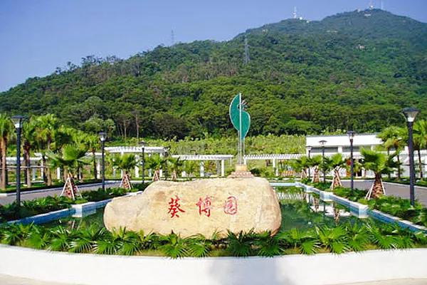 新会纪事,新会做账