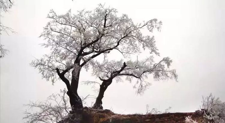河南景点春节门票免费,河南春节免费景点