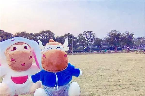 初级会计科目必背十二张表,2022年初级会计涉及的会计科目表