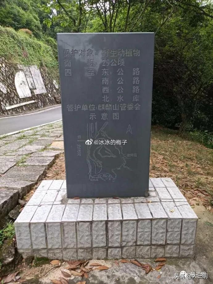三明麒麟山公园鸟瞰,麒麟山公园三明门票