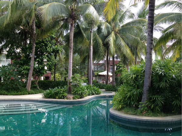 三亚自由行旅游攻略超详细哦,三亚旅游自由行全攻略