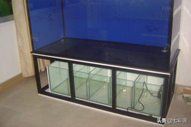 鱼缸过滤侧滤底滤哪种好,底滤鱼缸背滤