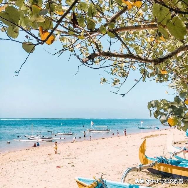 每日一篇优秀作文范文初中生,每日一篇优秀作文小学二年级