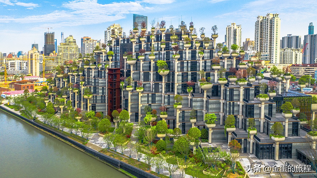 上海天安千树1分钟镜头,上海网红建筑天安千树