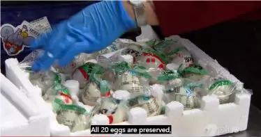 过海关被取消签证还能再申请吗,出国被海关劝返签证还能用吗