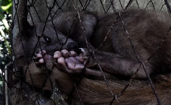 为什么有人喜欢喝浓缩咖啡,为什么有人爱喝一股霉味的茶