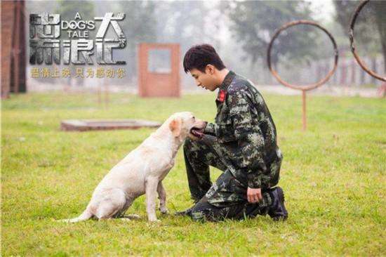 2019年马上结束了，今年还有哪些值得期待的国产电影要上映？