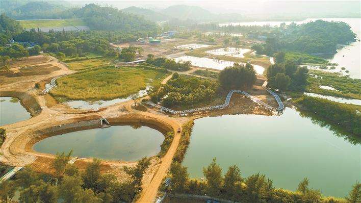 野生海虾和海水养殖虾吃起来区别,养殖虾与海水虾的营养区别是什么