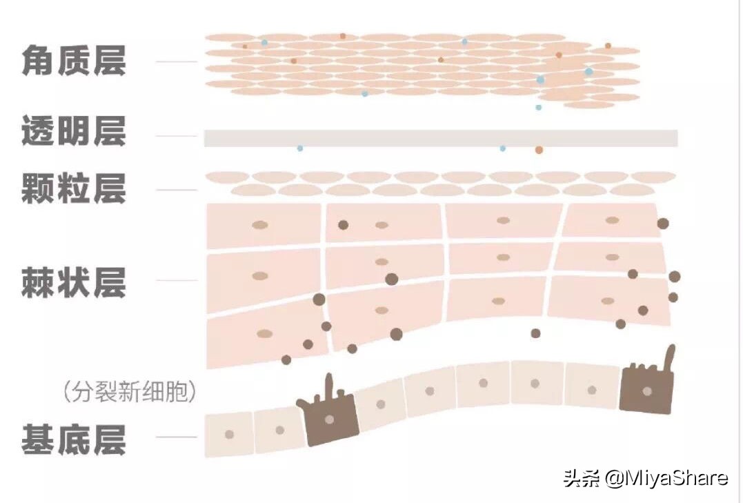 日常护肤品的鉴别方法真的很好用,护肤品太多不知道怎么选