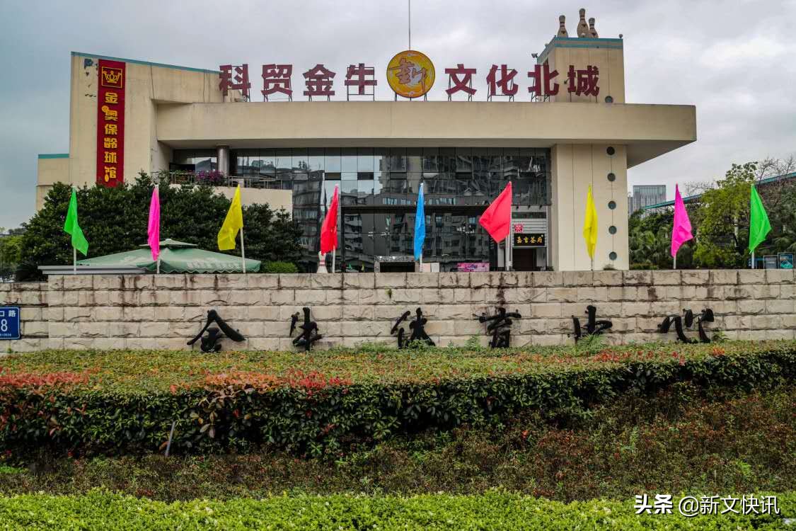 成都世警会开幕式,2019成都世警会开幕式