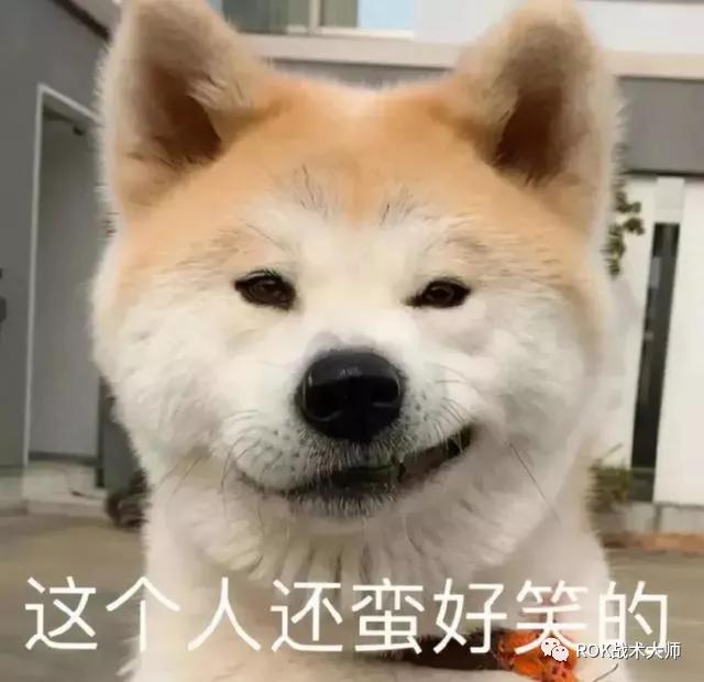 万国觉醒一条龙有多少宝石,万国觉醒宝石做什么最好