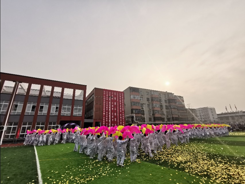 校园足球杯圆满落幕,华奥杯校园足球联赛