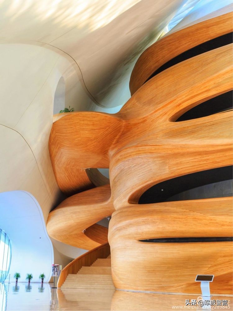 我与大学的初恋,我和我的初恋