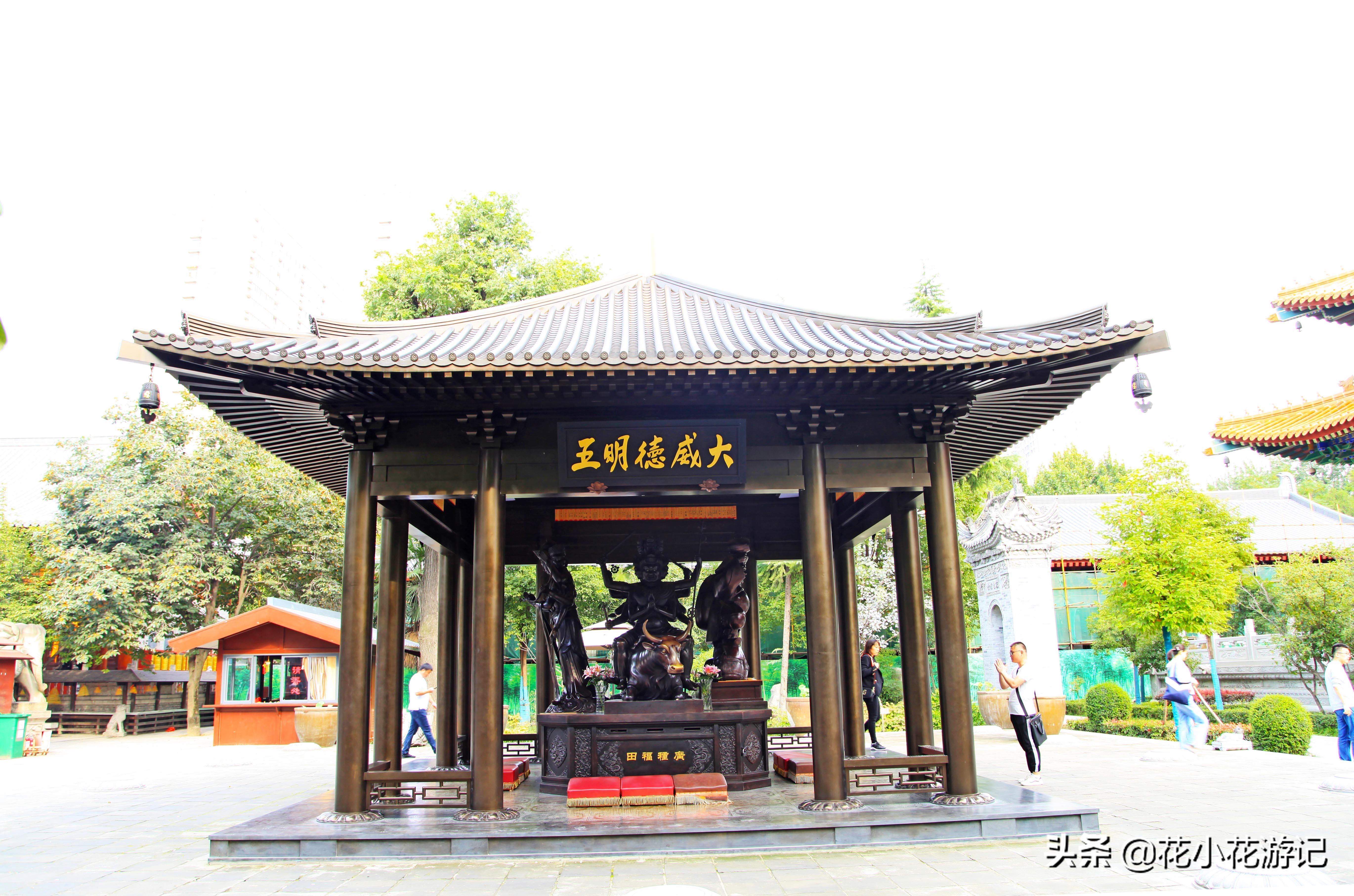 澶у叴鍠勫鐨堜緷娉曚細,澶у叴鍠勫澶ч泟瀹濇绁堢璇电粡