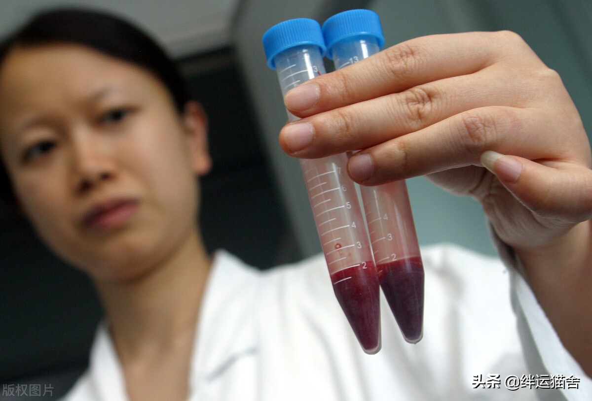 亲子鉴定师邓亚军口述,亲子鉴定邓亚