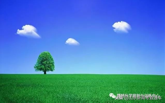 职业生涯规划的基本步骤有哪些,职业生涯规划实施步骤与时间