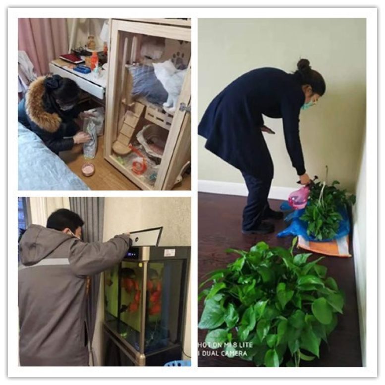 “这条命是物业给的！”从防控措施看杭州各小区物业水平