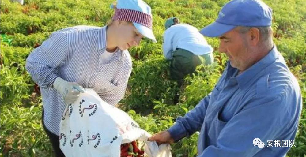 茶人学习:欧洲国家农民合作社融资实践